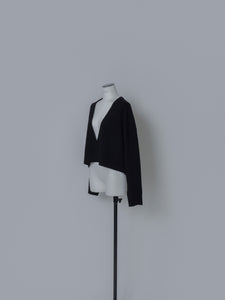 【2025AW PRE ORDER】V NECK CROPPDE KNIT